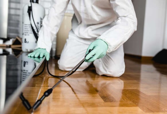 Pest Control
